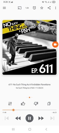 Screenshot_20251203_202843_Podcast Addict.jpg