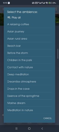 Screenshot_2025-12-11-11-11-13-918_it.mm.android.ambience.jpg