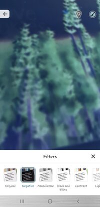 Screenshot_20251216-171646_Magnifier Plus.jpg