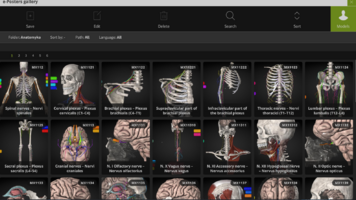 Captura de pantalla (1950).png