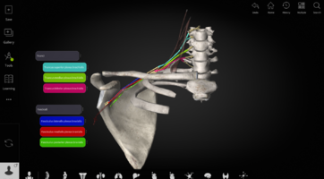 Captura de pantalla (1951).png