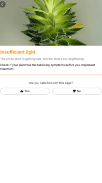 Captura de pantalla (2295).png