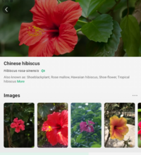 Captura de pantalla (2297).png