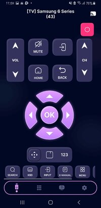 Screenshot_20260117-110234_Remote TV.jpg