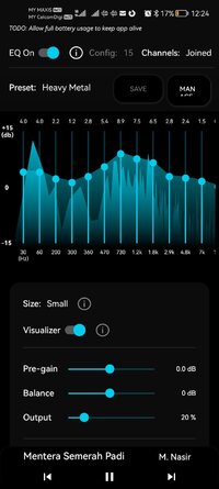Screenshot_20260126_122417_com.leanderoid.spoteq_15equalizerbands.jpg