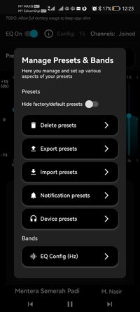 Screenshot_20260126_122356_com.leanderoid.spoteq_15equalizerbands.jpg