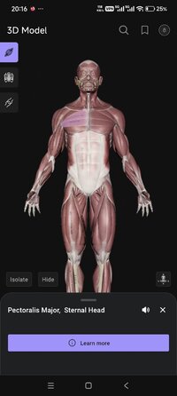 Screenshot_2026-01-30-20-16-04-852_air.com.musclemotion.posture.jpg