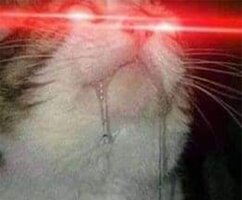 Screenshot_20260119_163216_Samsung Internet.jpg