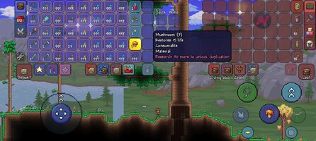 Screenshot_2026-02-12-16-20-21-862_com.and.games505.TerrariaPaid.jpg