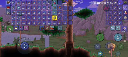 Screenshot_2026-02-12-16-21-15-416_com.and.games505.TerrariaPaid.jpg