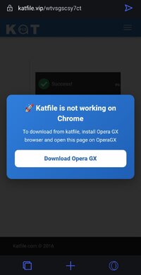 Screenshot_20260215_135841_Opera GX.jpg