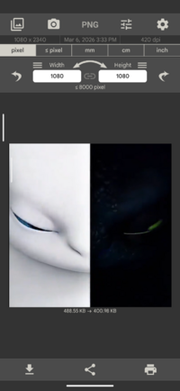 Screenshot_20260306-153347_Image Size.png