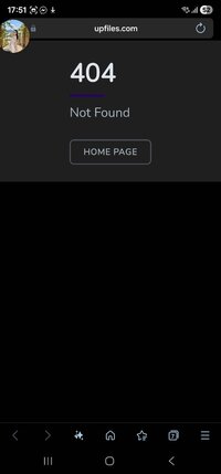 Screenshot_20260328_175139_Samsung Internet.jpg