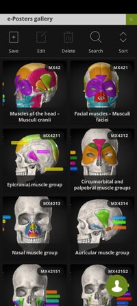 Screenshot_20260417_180303_com.anatomyka.android.jpg