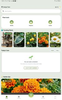 Screenshot_20260417_181218_Plant_Health_Identifier.jpg
