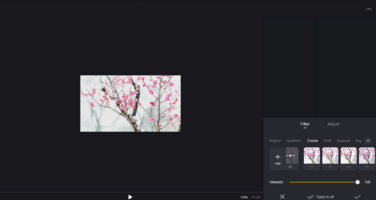 Captura de pantalla (4060).png