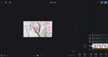 Captura de pantalla (4061).png