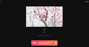 Captura de pantalla (4063).png