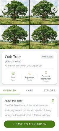 Screenshot_2026-04-26-04-17-44-763_com.plantidentifier.smart.ai.plantscanner.leaf.jpg