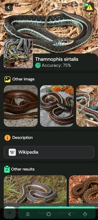 Screenshot_2026-04-27-20-05-41-485_com.ai.snake.identifier.scanner.jpg