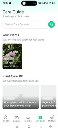 Screenshot_2026-05-01-22-19-02-894_com.plantparentai.app.jpg