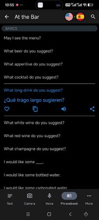 Screenshot_2026-05-01-22-55-42-254_at.nk.tools.iTranslate.jpg