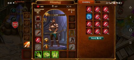 Screenshot_2026-05-03-08-41-32-722_com.goplaytoday.guildofheroes.jpg