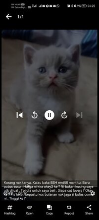 Screenshot_20260509_042525_uet.video.downloader.videodownloader.threads.jpg