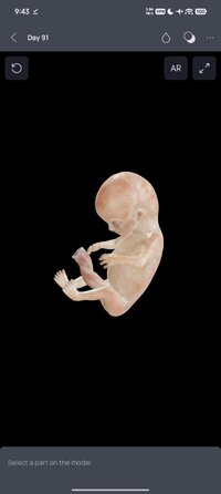 Screenshot_2026-05-30-09-43-30-997_com.innowise.pathology3d.jpg