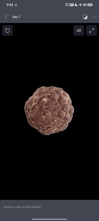 Screenshot_2026-05-30-09-42-53-328_com.innowise.pathology3d.jpg