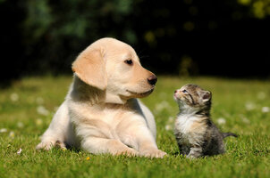 YouCamPerfectSample-16.jpg
