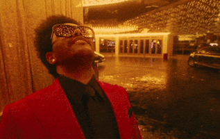 RDT_20260213_1004564019580058758484839.gif