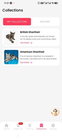 Screenshot_2026-07-04-23-37-10-998_cat.scanner.cat.identifier.jpg