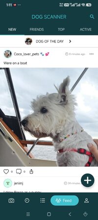 Screenshot_2026-07-07-01-11-54-432_com.siwalusoftware.dogscanner.jpg