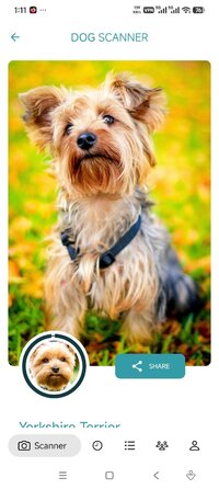 Screenshot_2026-07-07-01-11-12-978_com.siwalusoftware.dogscanner.jpg