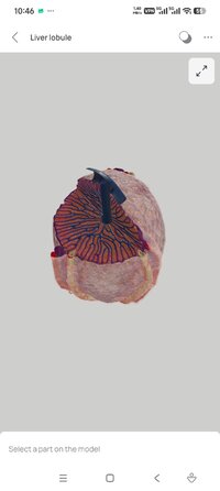 Screenshot_2026-07-07-10-46-31-583_com.innowise.pathology3d.jpg
