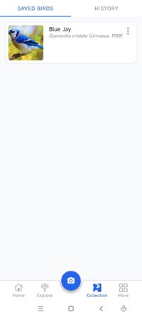 Screenshot_2026-07-08-08-02-25-553_com.jg.birdidentifier.jpg