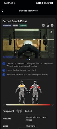 Screenshot_2026-07-11-09-52-13-330_com.musclewiki.macro.jpg