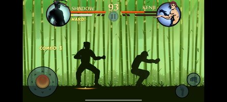 Screenshot_2026-07-13-12-04-24-816_com.nekki.shadowfight.jpg