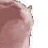 catfast_2.webp