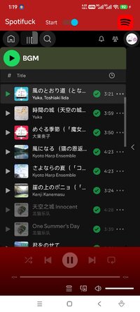 Screenshot_2026-07-21-13-19-35-501_it.deviato.spotifuck.jpg