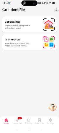 Screenshot_2026-07-22-16-14-45-507_cat.scanner.cat.identifier.jpg