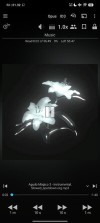 Screenshot_2026-07-24-01-32-34-279_ak.alizandro.smartaudiobookplayer.jpg