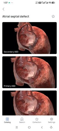 Screenshot_2026-07-24-01-37-46-037_com.innowise.pathology3d.jpg