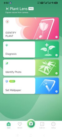Screenshot_2026-07-25-20-50-52-897_app.plant.identification.jpg