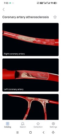 Screenshot_2026-08-05-19-33-43-420_com.innowise.pathology3d.jpg