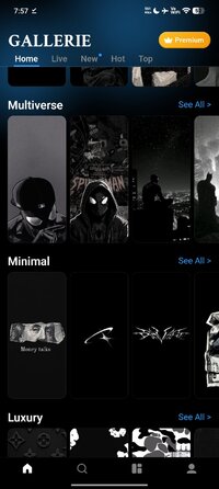 Screenshot_2026-08-05-19-57-20-727_com.sibeliusstudios.gallerie.jpg
