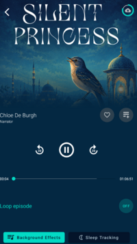Captura de pantalla (41).png