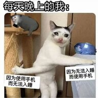 李桢逼