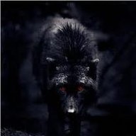 Sttarwolf